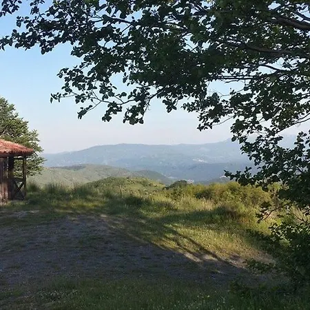 Rosy Gallo Castelsaraceno