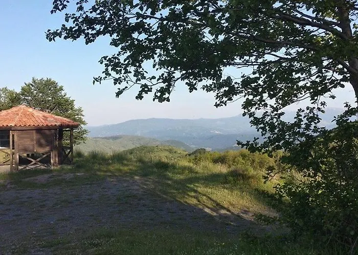 Rosy Gallo Castelsaraceno
